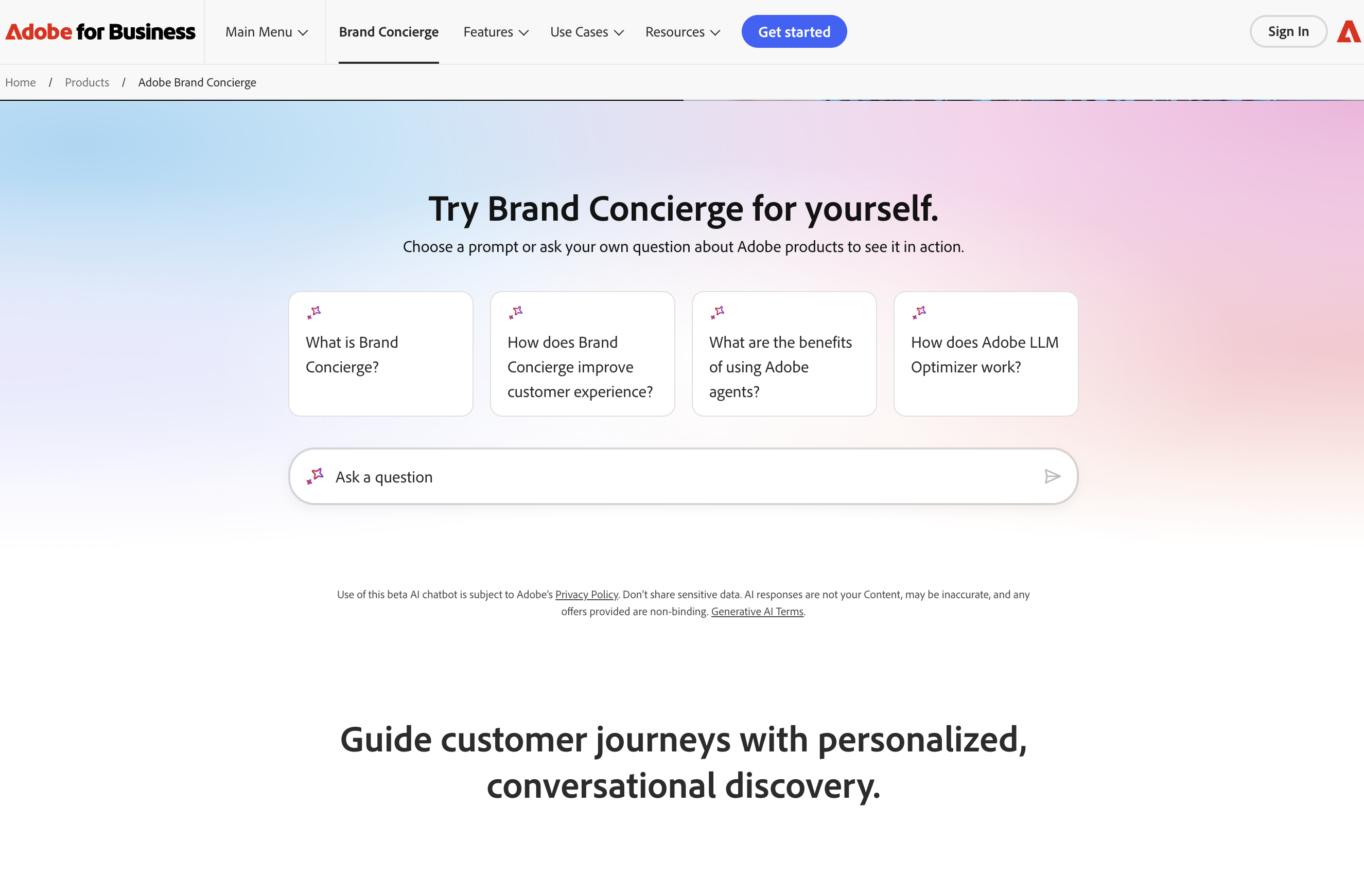 Brand Concierge MVP runtime experience